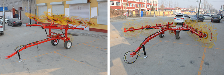Hay Rotary Rake